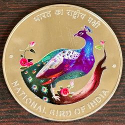 NATIONAL BIRD OF INDIA - PEACOCK